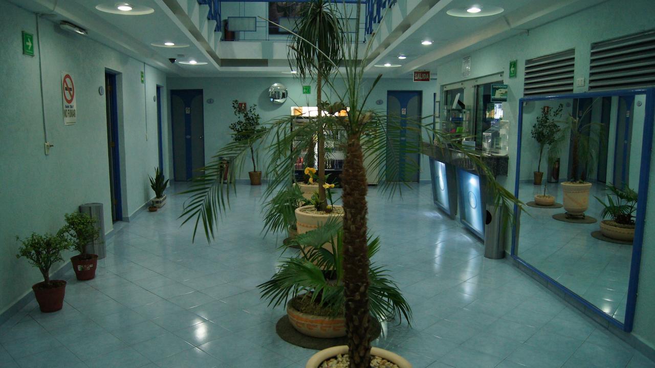Hotel Muy (Adults Only) مدينة مكسيكو المظهر الخارجي الصورة